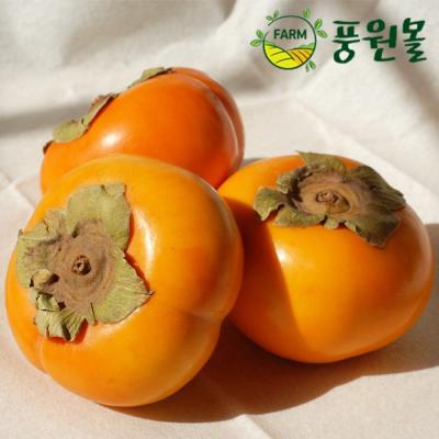 감 풍원영농조합법인 달콤한 경남 햇 단감 가정용흠과, 경남단감 흠과 사이즈 랜덤 10kg, 1박스